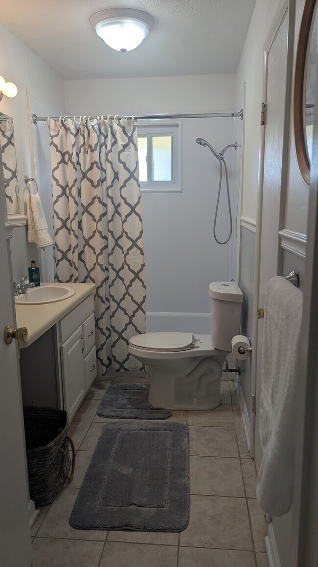 Main bath - 3039 Dow Dr