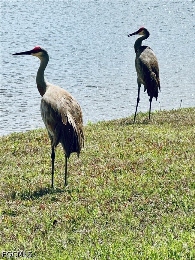 Building Photo - 11812 Cloverly Ln