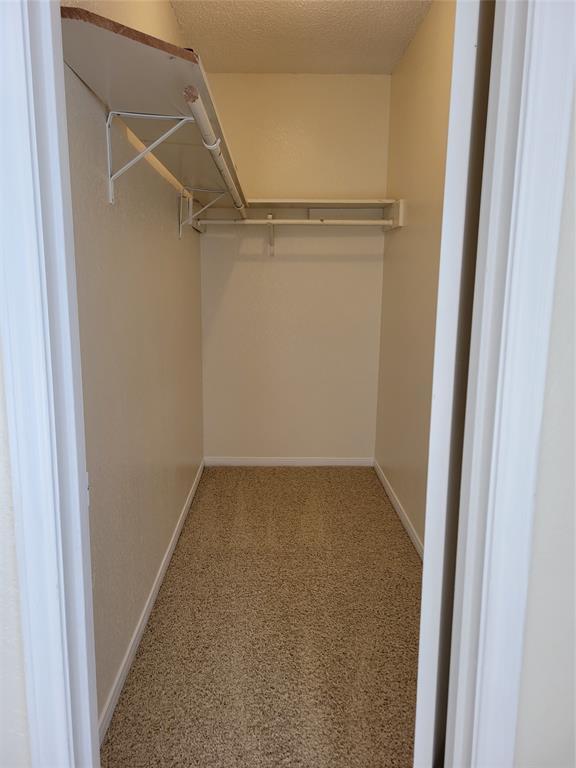 Building Photo - 2804 Bull Run