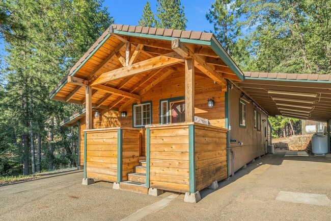 Primary Photo - Darling cottage nestled in the woods near ...