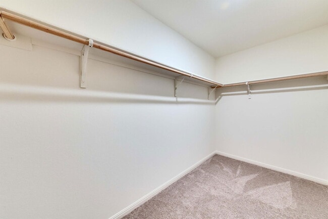 Building Photo - 1008 Gray Fox Lp