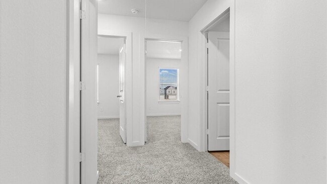 Building Photo - 3515 Adelie Ln