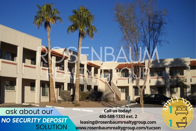 Primary Photo - Spacious 1-bed, 1-bath apartment in the he...