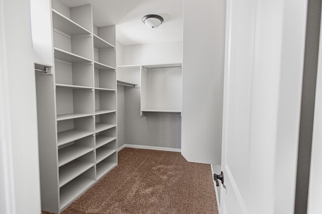 Building Photo - 3135 Red Creek