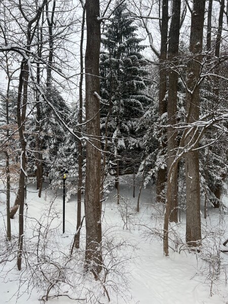 Building Photo - 10600 Kenilworth Ave