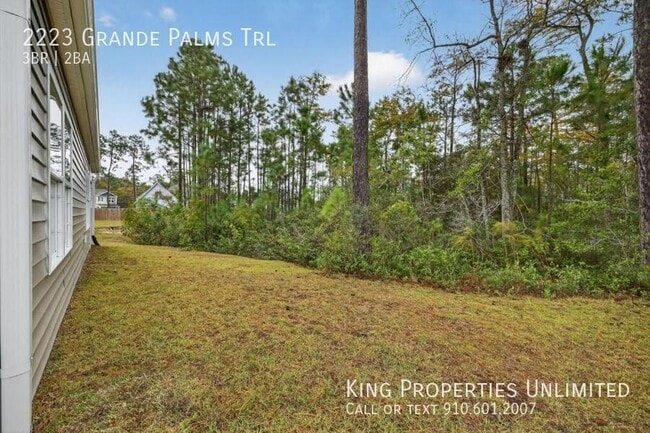 Building Photo - 2223 Grande Palms Trl