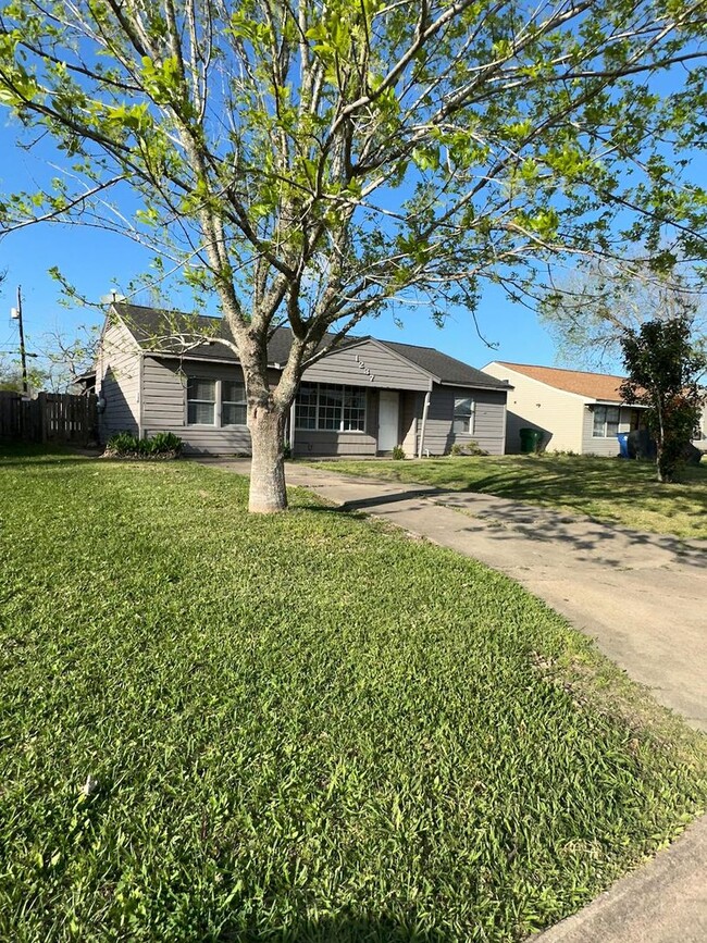 Building Photo - Great 3 Bedroom Single Family in Angleton