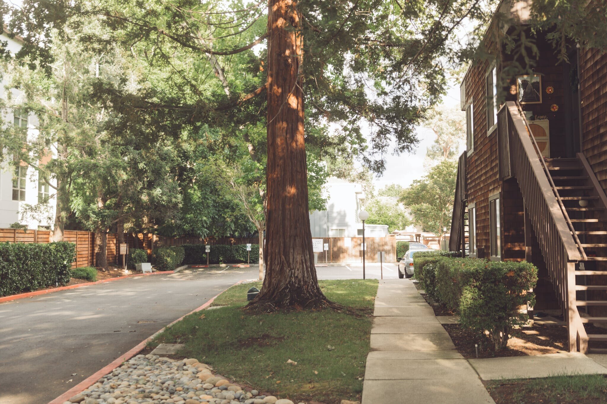 Building Photo - 1173 Honey Trl