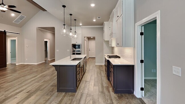 Building Photo - Luxury 4 Bedroom 3 Bathroom Home in Lone O...