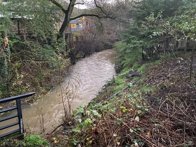 Building Photo - 323 Bolinas Rd