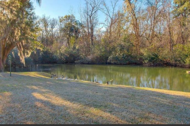 Building Photo - 7933 Shadow Oak Dr