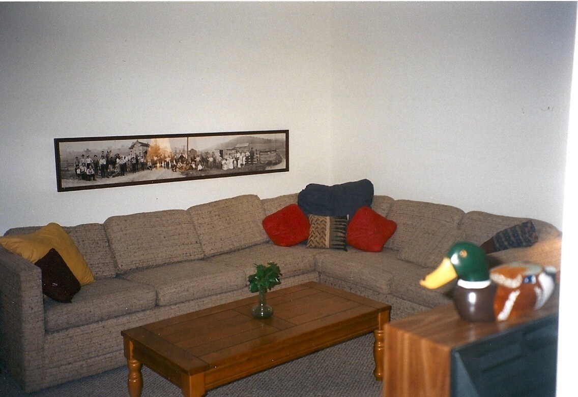 Living area - 305 Furnace Dr