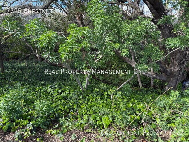 Building Photo - 7795 Chestnut Way