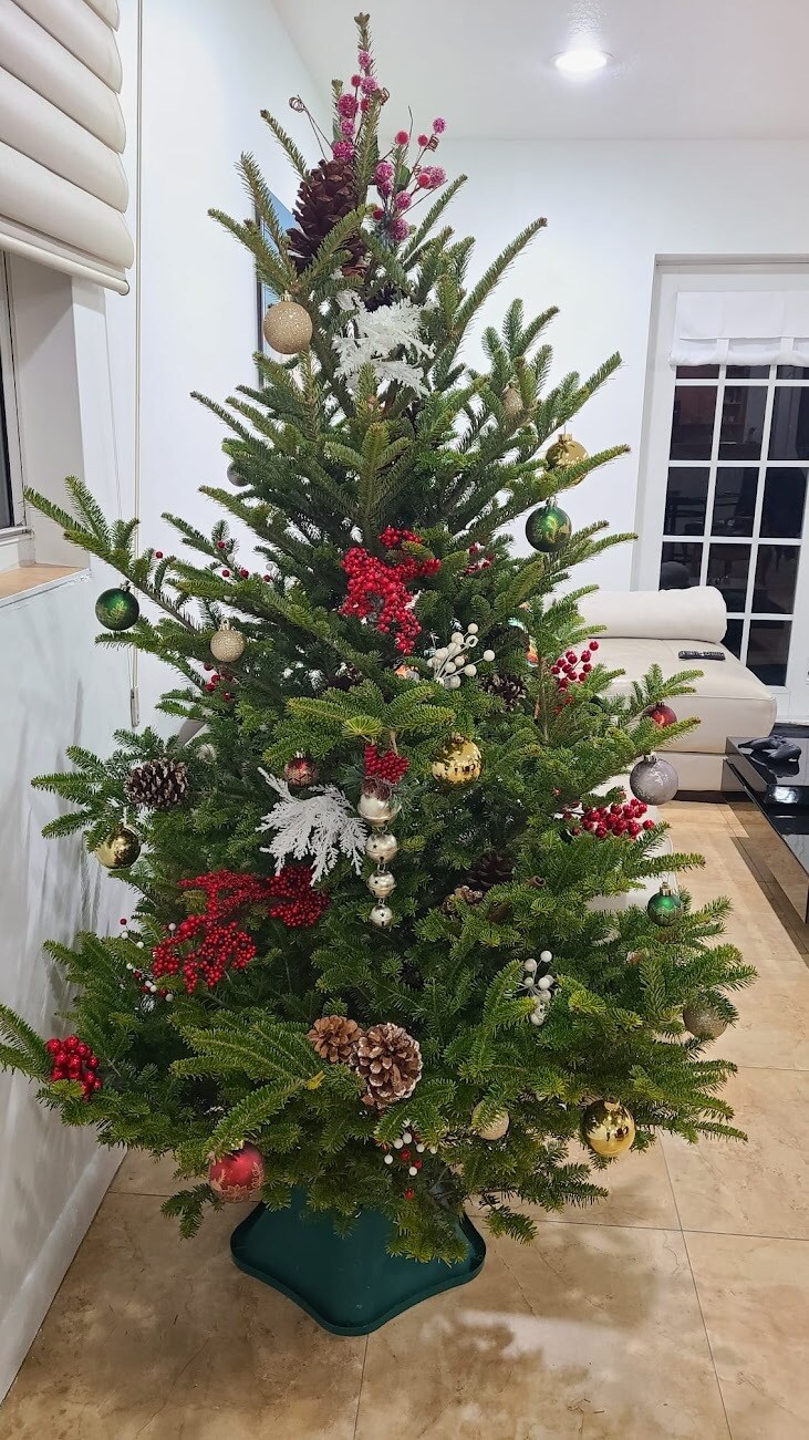 Building Photo - 2338 Sunset Dr