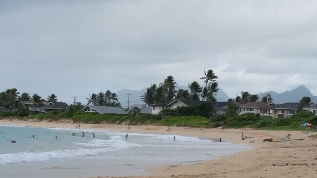 Building Photo - 3 Bed/2 Bath Laie Home with big yard and bonus space