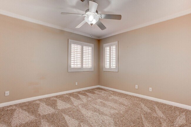 Building Photo - 809 Royal Birch Ln