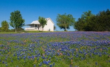 Building Photo - 3831 Meadow View Ln