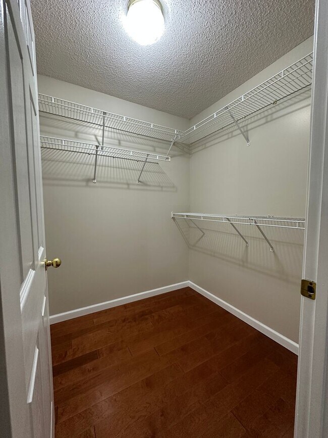 Building Photo - 256 Dumplin Ln