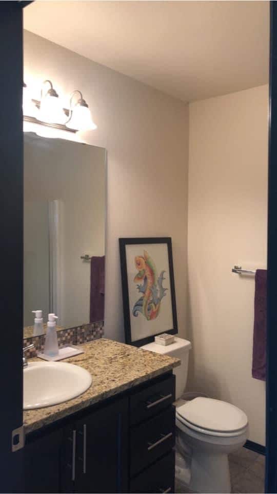 2nd bathroom - 718 Violet Ln