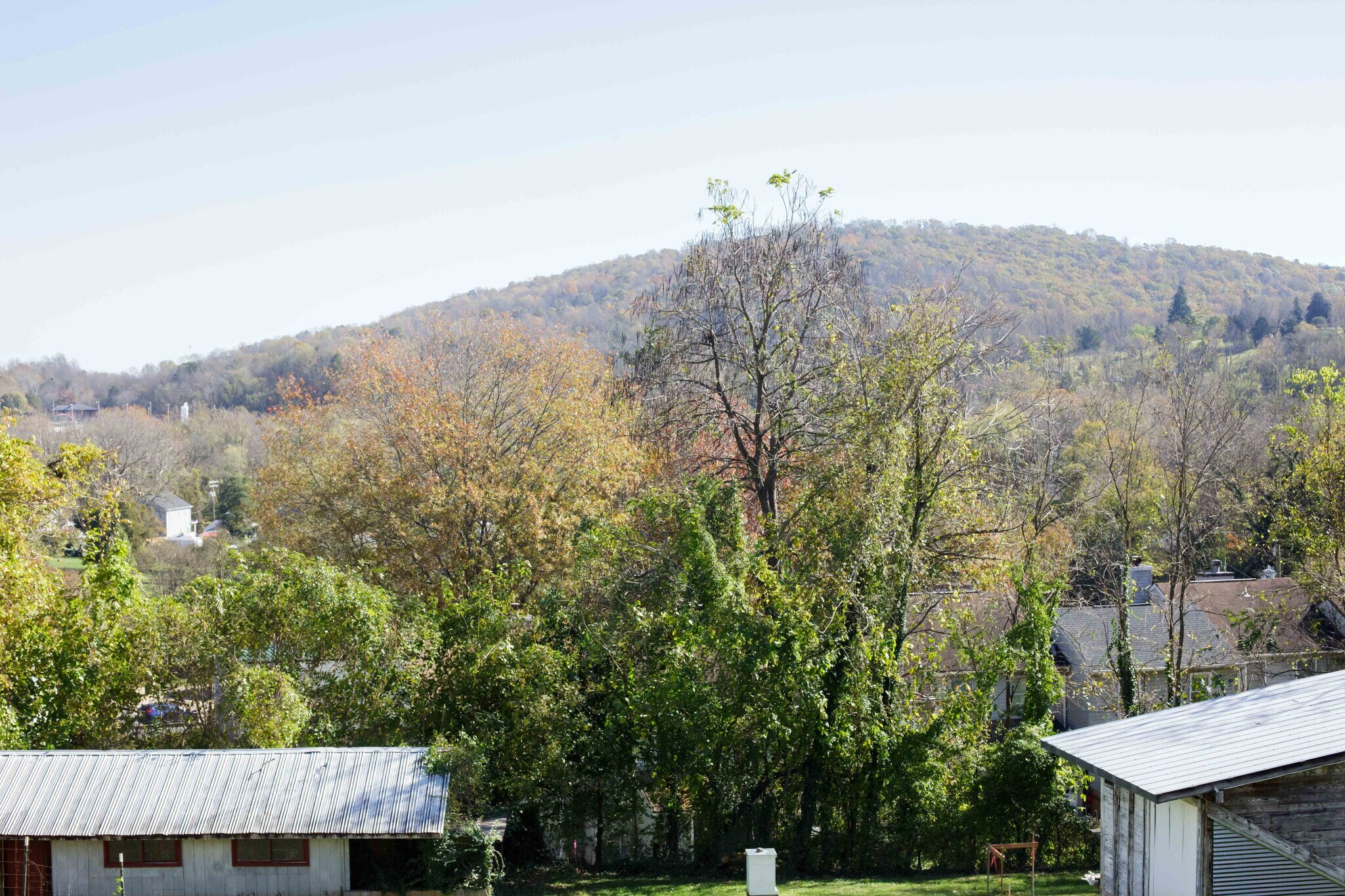 Building Photo - 1602 Monticello Rd