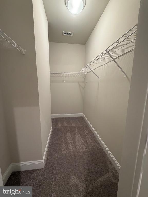 Building Photo - 433 Reagans Ln