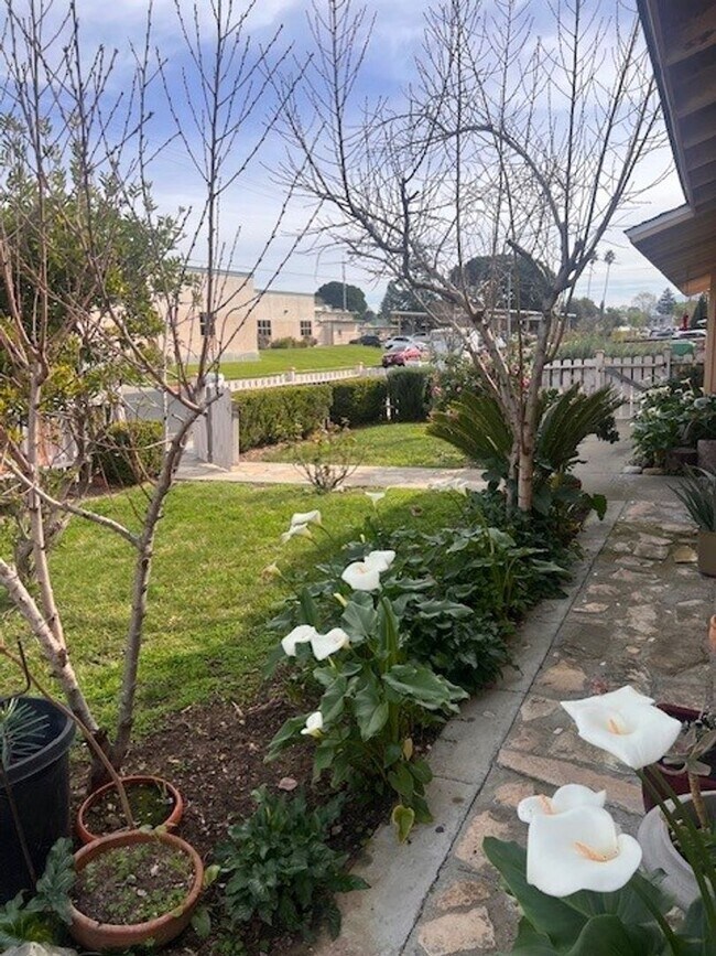 Building Photo - Charming Home with Expansive Yard, Fruit Trees & RV Parking