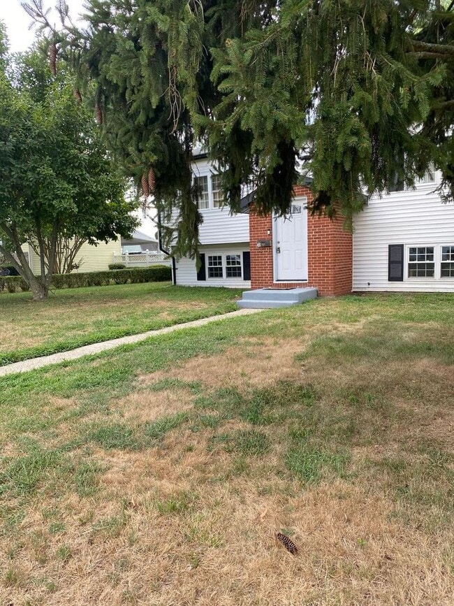 Building Photo - 241 Lafayette Ave