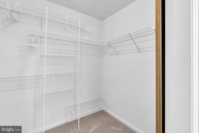 Building Photo - 14109 Stonecutter Dr