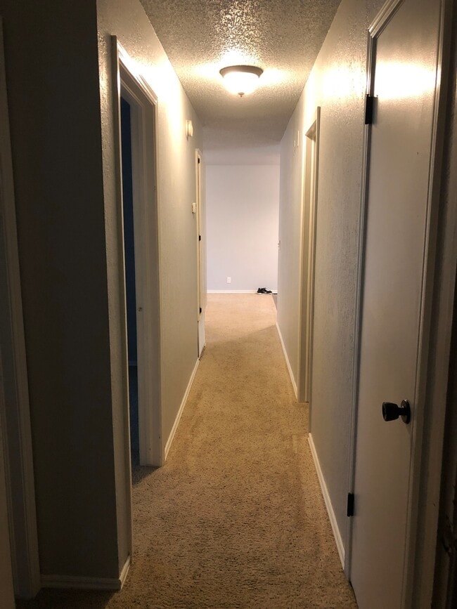 Hallway - 254 Hickory Stick Ln