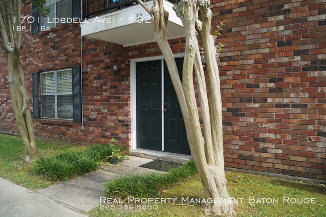 Primary Photo - One Bedroom Condo in Bocage