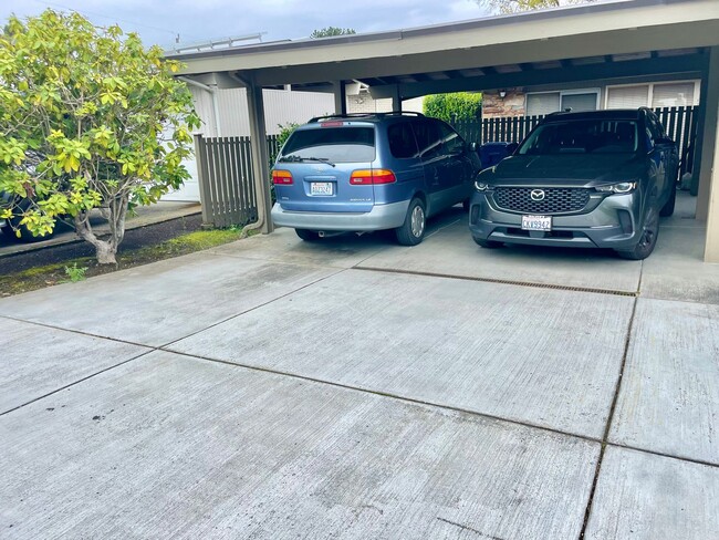 Building Photo - Charming lower level of home