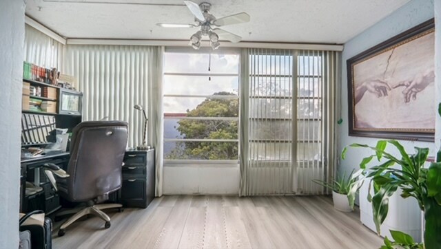 Large windows for light-cheer - 3001 NW 48th Ave