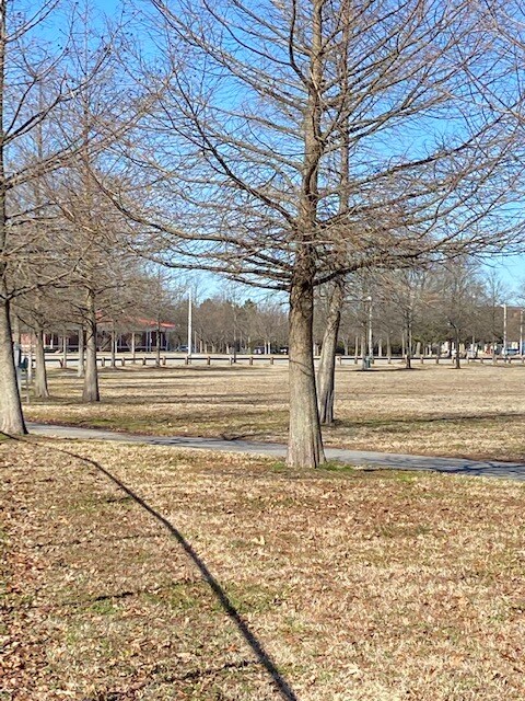 Building Photo - 5381 Lynbrook Landing