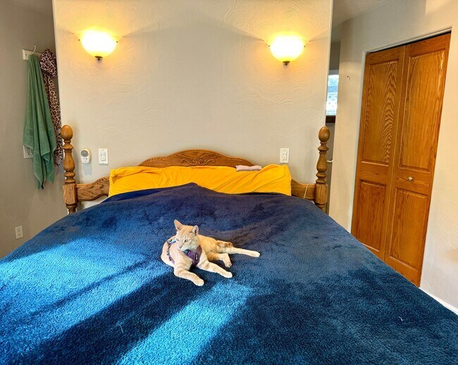 Building Photo - Lovely one level home in Northwest Santa R...