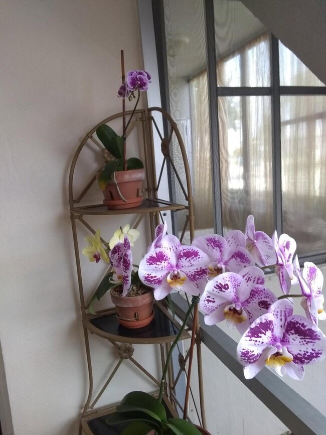 Building Photo - 200 Stratford O