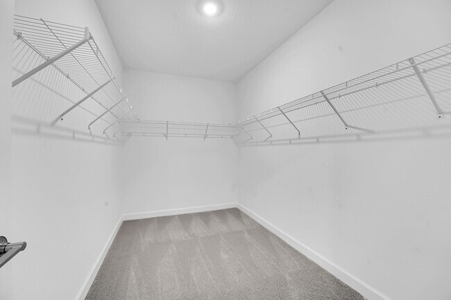Building Photo - 2950 Spanish Cedar Pl