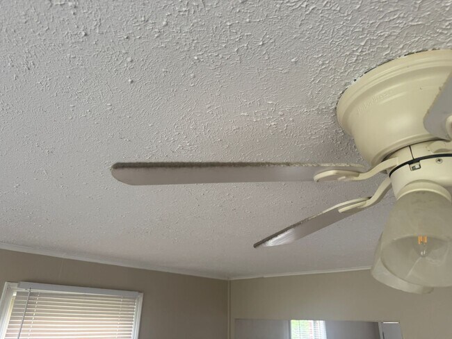 Building Photo - RARE CARSON LANE DUPLEX AVAILABLE