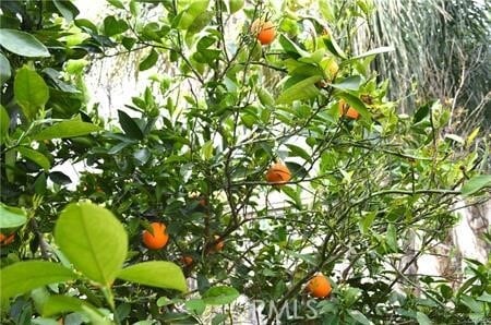 Building Photo - 16204 Crane Ct