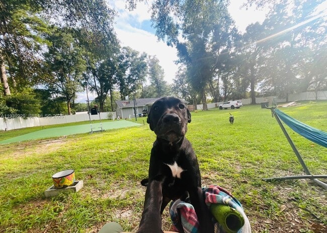 Building Photo - 399 SW Broderick Dr