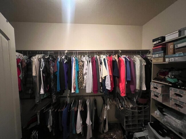 Building Photo - 3419 Selene Dr