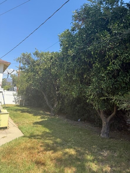 Backyard - 2448 5th St