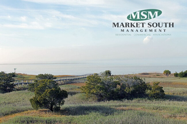 Building Photo - TYBEE OCEAN FRONT LUXURY AT SANDY SHORES