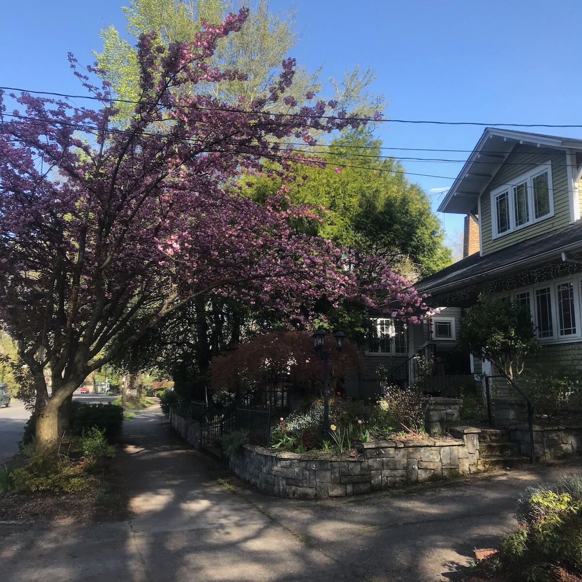 Building Photo - 4041 E Burnside St