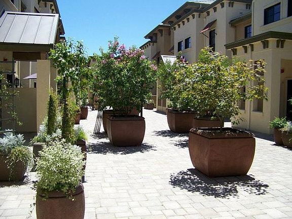 Building Photo - "Chic 1-Bedroom Retreat in Palo Alto with ...