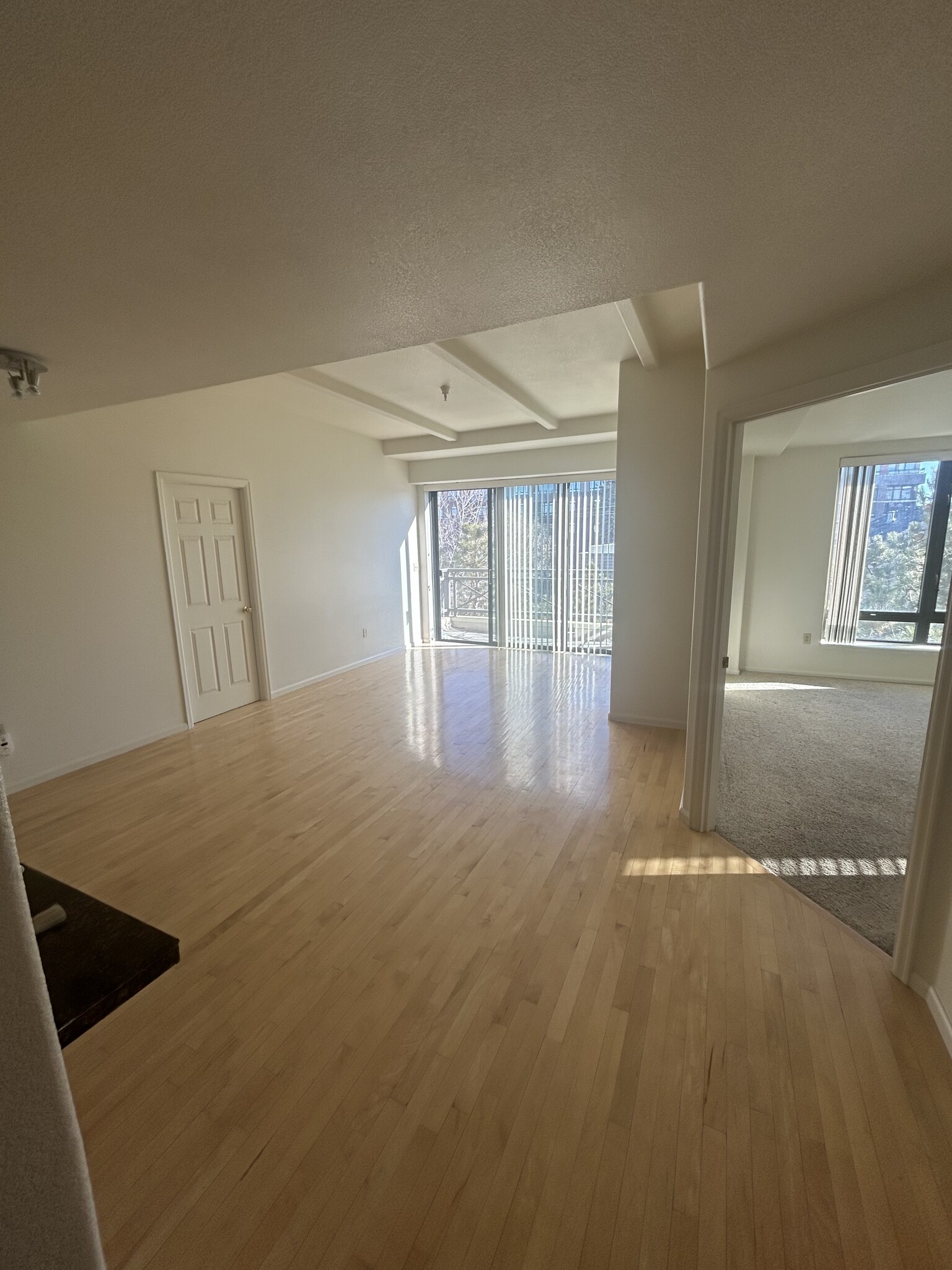 Living Room - view from foyer - 180 Cook St