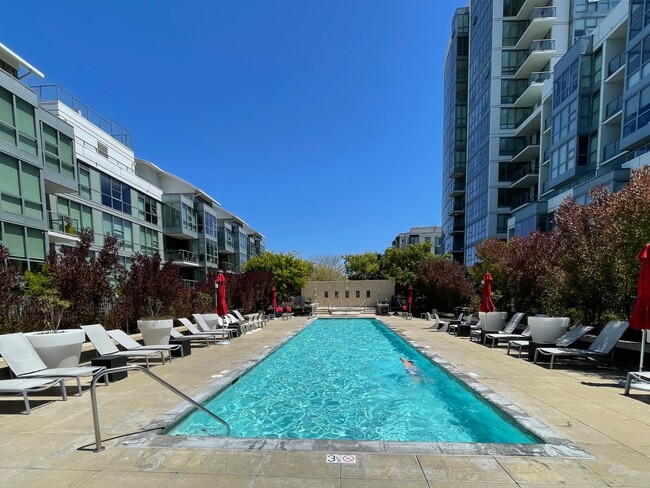 Building Photo - Luxurious Condo at Madrone w/Bay, City Views, Balcony, Pool, Parking - A Must See - PROGRESSIVE