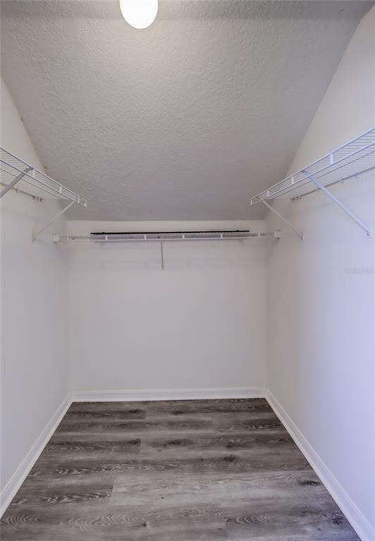 Building Photo - 3117 Summer Cruise Dr