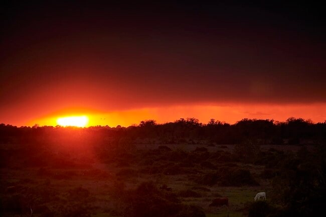 Building Photo - 16843 Old Wagon Wy