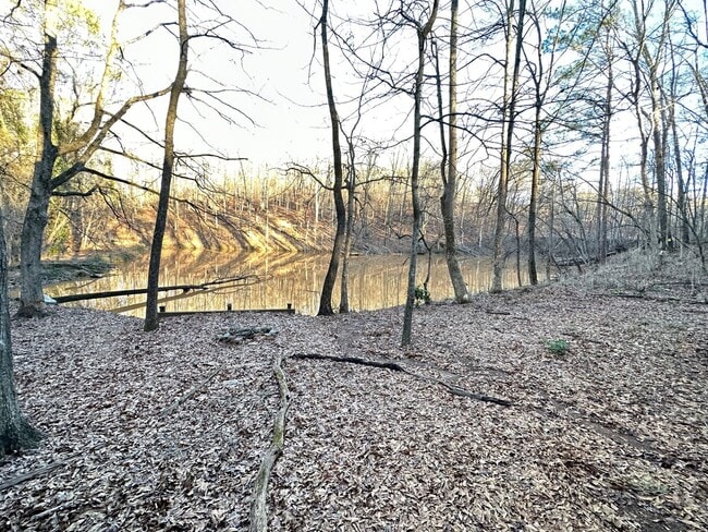 Building Photo - Beautiful Home off Timothy Available