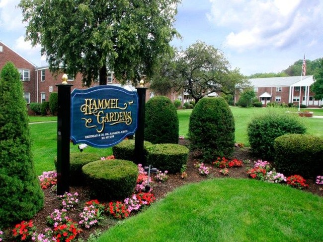 Primary Photo - Hammel Gardens